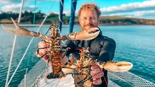 Coastal Foraging - Hand Caught Wild Lobster 🦞🦞  [Ep17 S4]