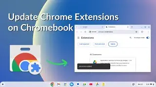 How to Update Chrome Extensions on Chromebook