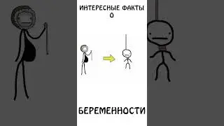 Интересные факты о Беременности 