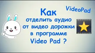 Как отделить аудио от видео дорожки в программе Video Pad ?