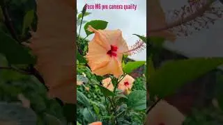 Poco M6 pro camera quality | Poco M6 Pro 5g Camera Samples #shorts #sparkletechroy #trending #poco