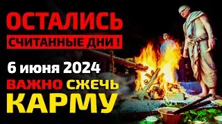 6 июня 2024 Один день, чтобы сжечь карму прошлого НАВСЕГДА! Шани Джаянти — День явления Сатурна