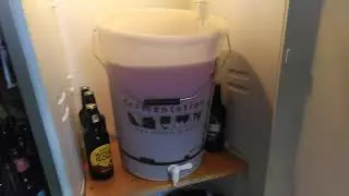 Kegging homebrew fruit cider into Cornelius keg.