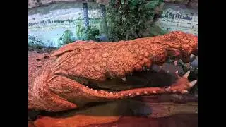 WILD REPTILE WORLD PART 1 #trendingshorts #viral #animals #vlog #satisfying #funnyshorts