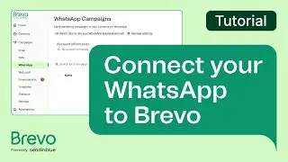 How to set up your WhatsApp campaign in Brevo