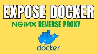 How I expose my docker container with nginx reverse proxy