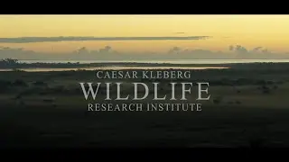 The Caesar Kleberg Wildlife Research Institute