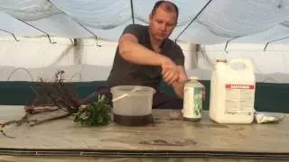 Опыт использования гидрогеля при посадке саженцев земляники и винограда