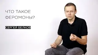 Что такое феромоны