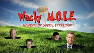 Leftist Media Conspiracy Theories For Lack Of Impeachment Support - Wacky MOLE