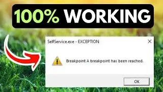 How To Fix Exception Breakpoint Error In Windows