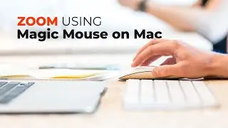 How to Zoom using Magic Mouse 🖱️ on Mac