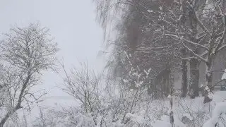 МЕТЕЛЬ Футаж