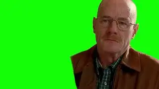 Walter White "yeah, that's pretty much the size of it" green screen