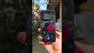 iPhone 16 Pro Max Camera Test 🔥