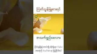 ကြက်သွန်ဖြူက အသက်ရှည်စေလား? #garlic #health #shorts