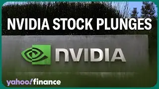 Nvidia's stock plunge erases $118B in market cap