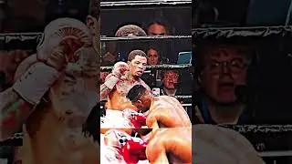 Gervonta davis knocksout Gamboa #boxing #gervontadavis