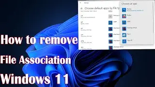 How to remove File Association in Windows 11