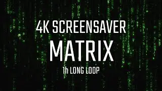 4K Screensaver - Matrix Numbers and Letters Rain - 1 Hour Long Loop - Live Wallpaper