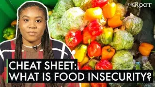 Cheat Sheet: What Is Food Insecurity?