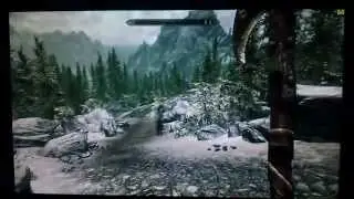 Skyrim on r9 280x + fx6300 (fps+benchmark+gameplay)