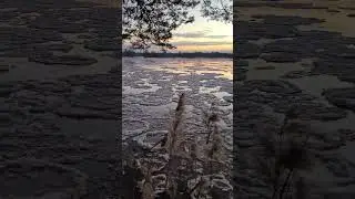 #shorts ice drift on the Gauja river