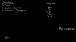 5 - Maya Command Communication