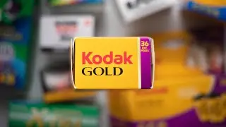 Kodak Gold 200 Review | The Cheap Portra