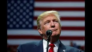 5 фактов о Трампе