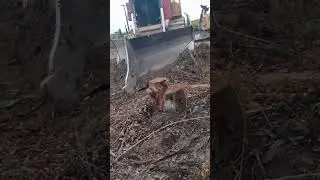 НАИВНЫЙ ВОДИТЕЛЬ 🤯
