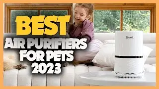 10 Best Air Purifiers for Pets 2023