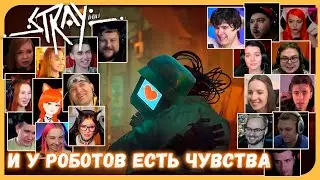 Реакции Летсплейщиков на Воссоединение Дока и Шимуса из Stray (Стрэй)