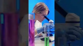 Как Всё Выглядит Под Микроскопом