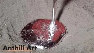 Casting a Carpenter Ant Colony with Molten Aluminum (Cast 