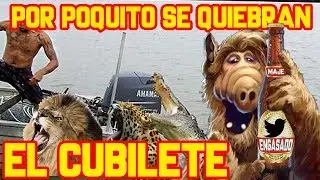 Por poquito se quiebran el  cubilete