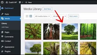 Delete Multiple Images in WordPress Media Library