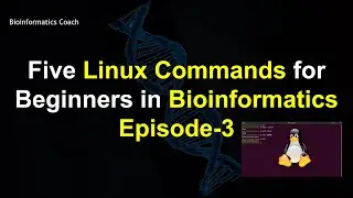 Linux Commands for Reading Files | Linux Tutorial