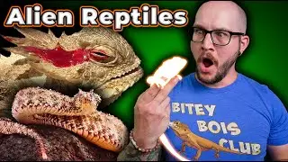 ALIEN REPTILES | 5 INSANE Mutant Reptile Adaptations Youve NEVER Heard Of!