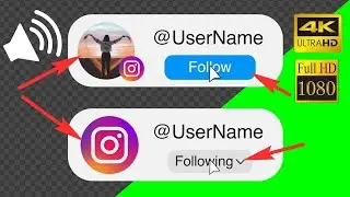 Сustom Follow button Instagram green screen, transparent background