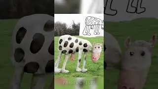 If Kids Animal Drawings Were Real