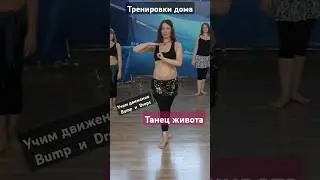 Танцуем дома танец живота. обучающее видео для начинающих. Учим движения Bump и Drops#танецживота