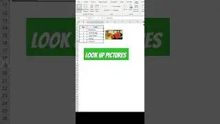 How to lookup picture in excel. #exceltips #msexcelএরসকলসূত্র #exceltips #exceltricks #exceltutorial