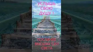 Услышь свою Душу! #душа  #психология #душа #любовь#shorts