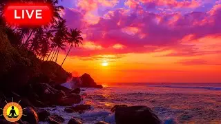 🔴 Relaxing Music Sleep 24/7, Meditation Music, Relaxing Music, Music for Sleeping, Ocean Ambience