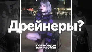КТО ЖЕ ТАКИЕ ДРЕЙНЕРЫ?