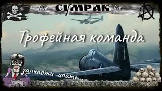 Трофейная команда + самолеты на заказ под ежедневки World of Warplanes