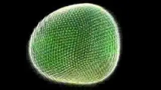 Nafta - tAAt 2002 (Demoscene)