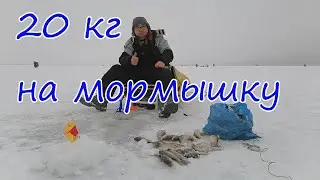 Универсальная светящаяся мормышка на леща и карася