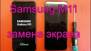 Samsung M11 Замена дисплея